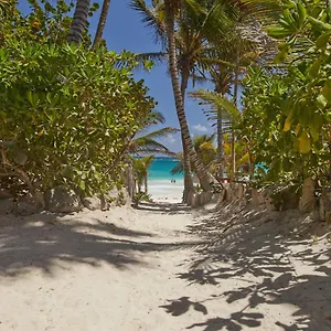 Dos Ceibas - Massage & Yoga Inclusive 4* Tulum
